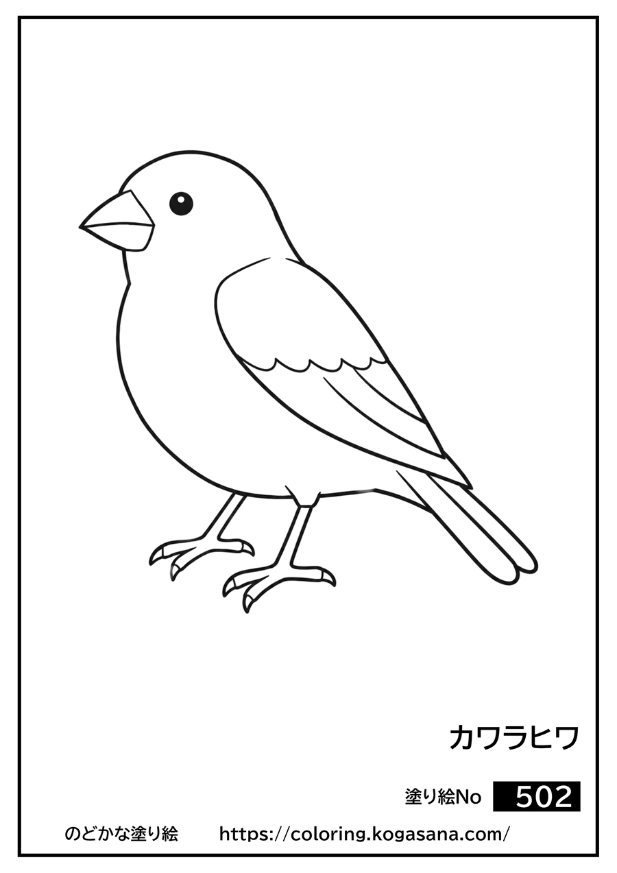 カワラヒワの塗り絵