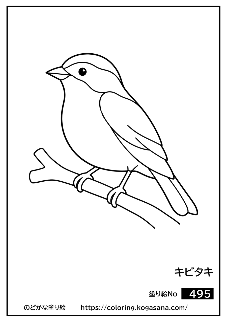 キビタキの塗り絵