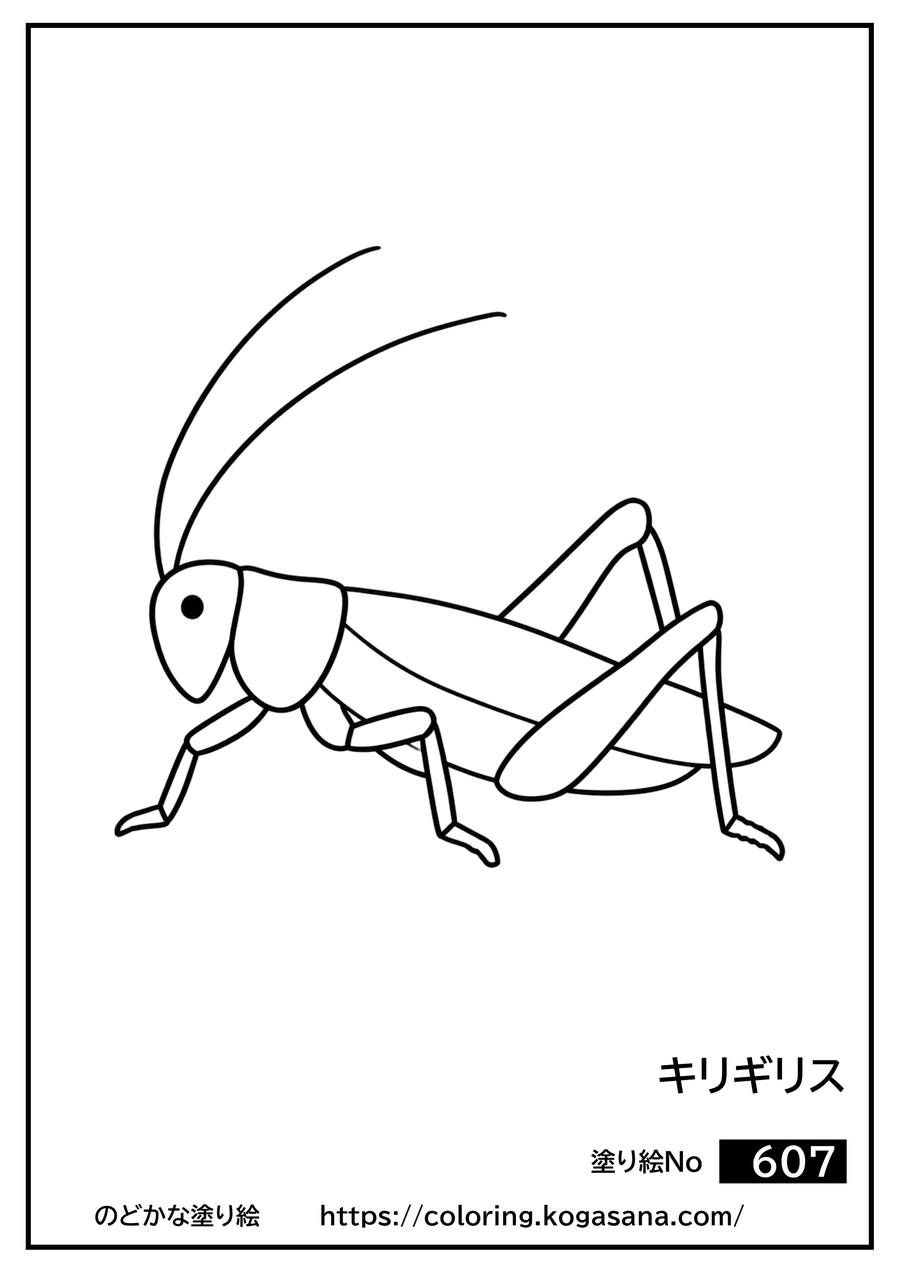 キリギリスの塗り絵