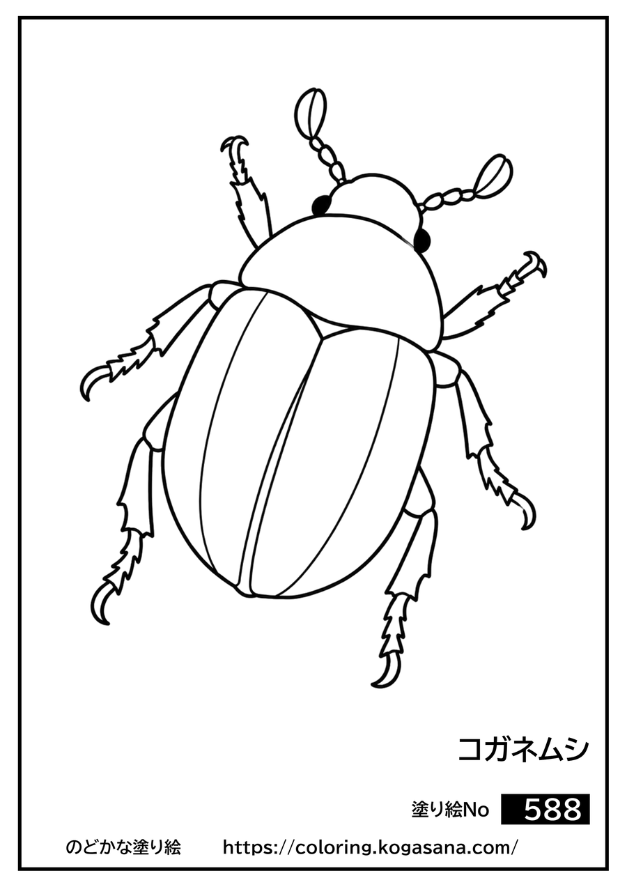 コガネムシの塗り絵