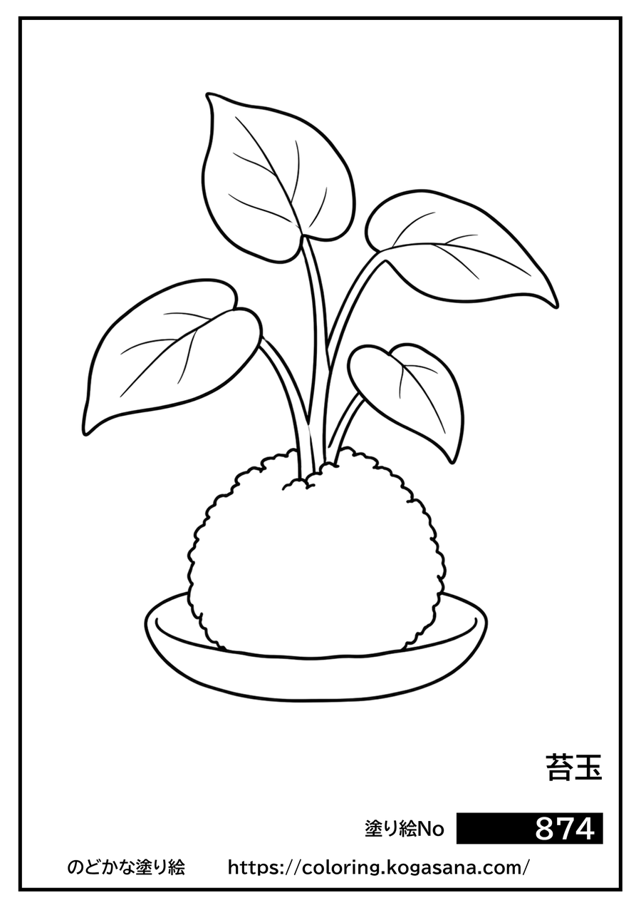 苔玉の塗り絵