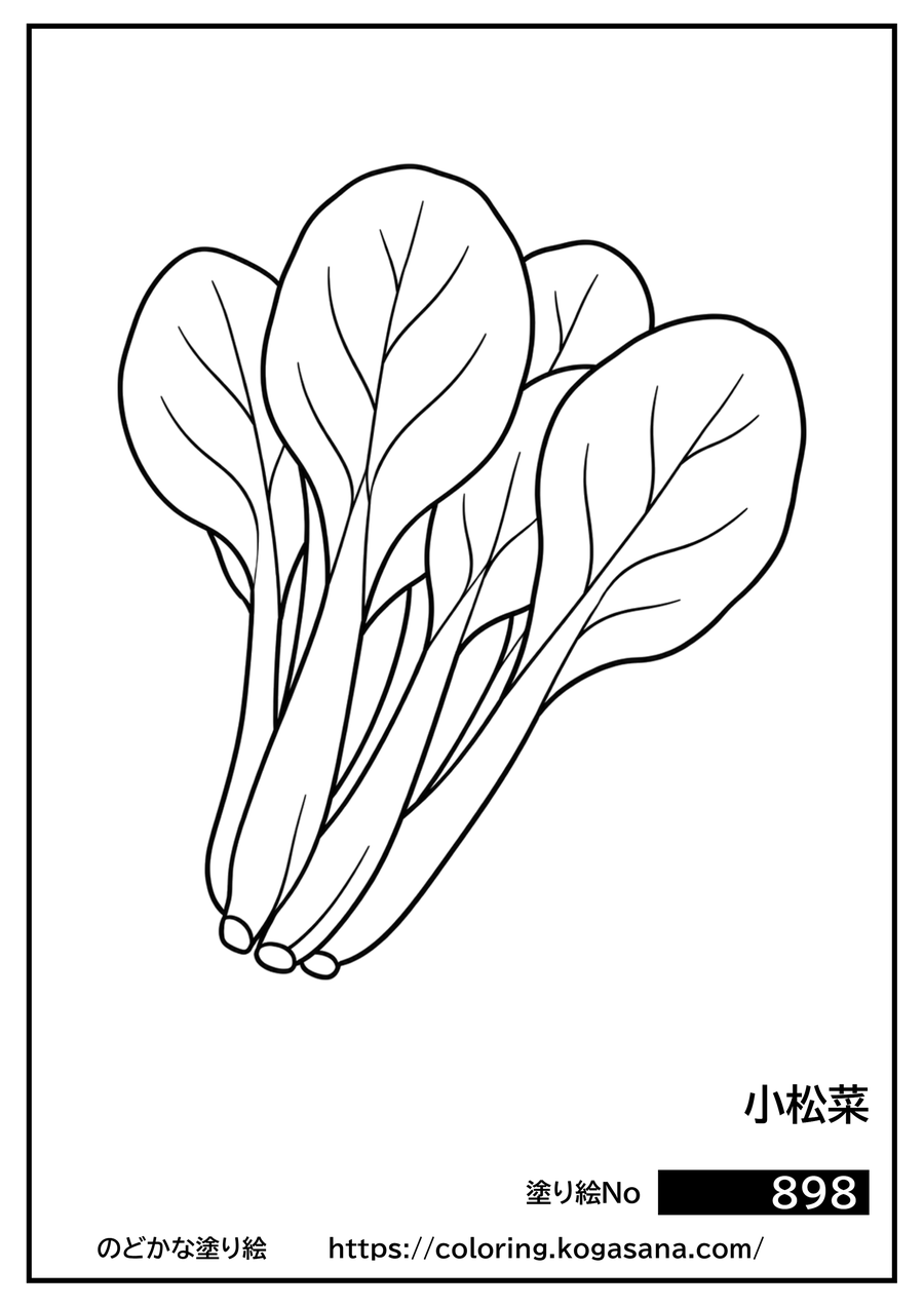 小松菜の塗り絵