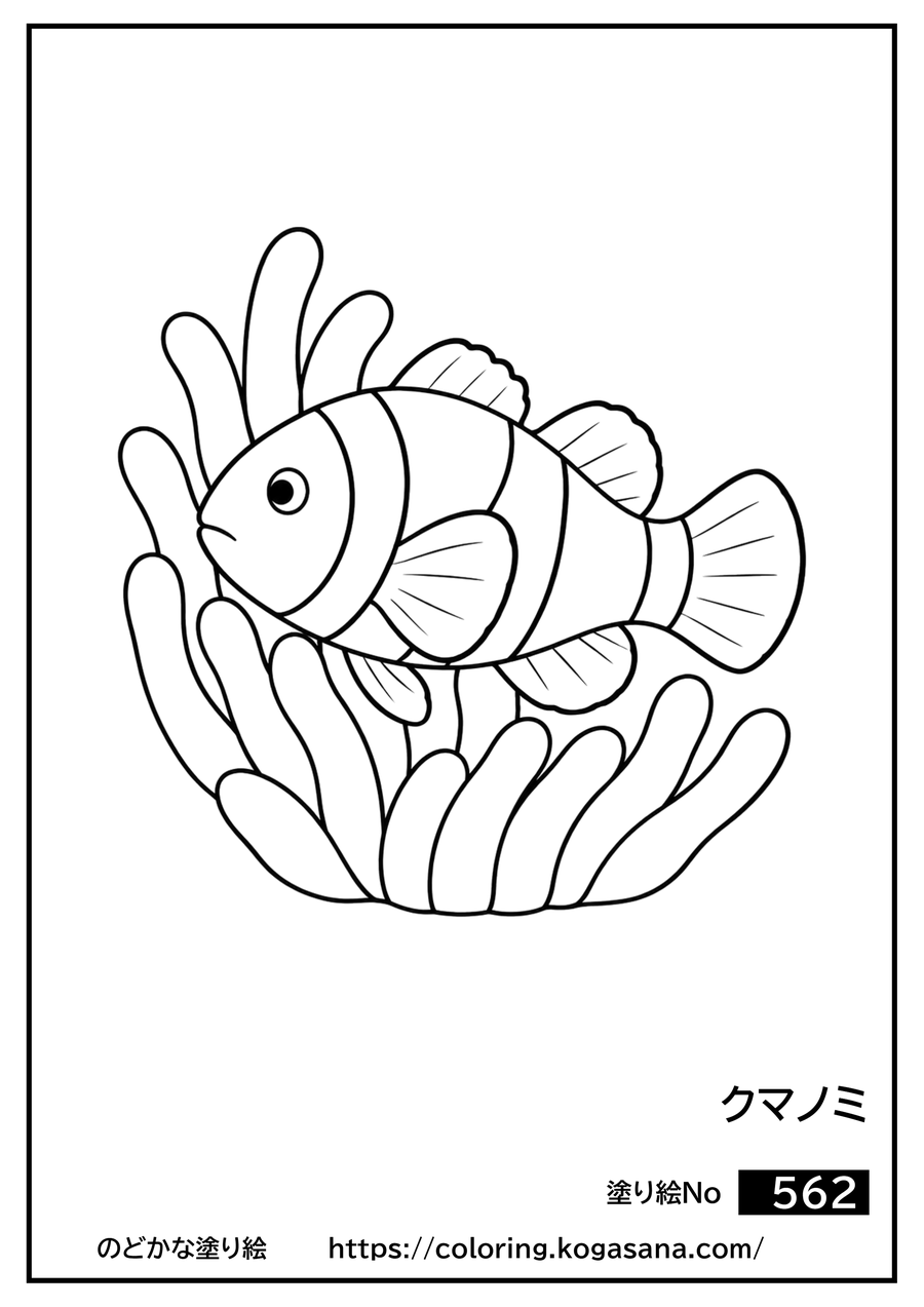 クマノミの塗り絵