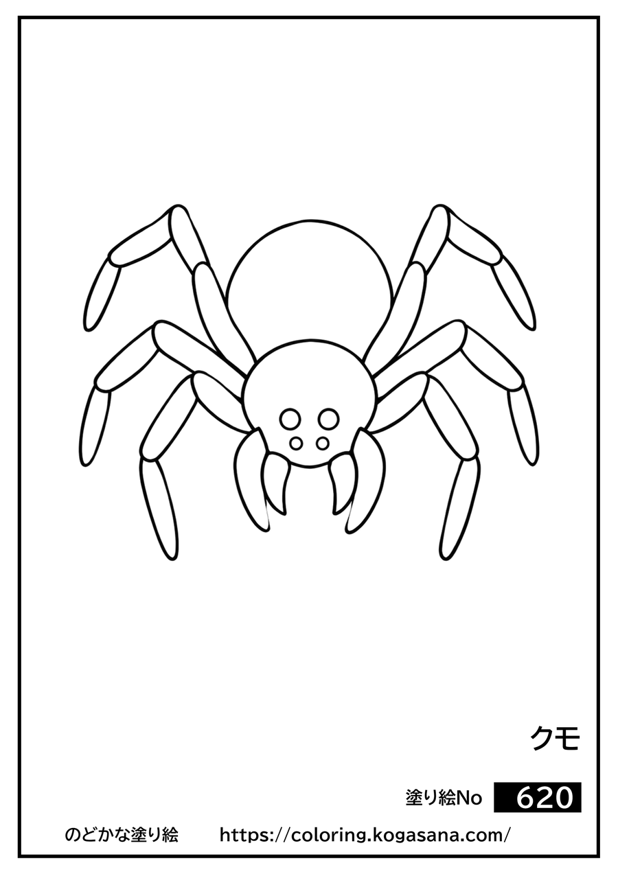 クモの塗り絵