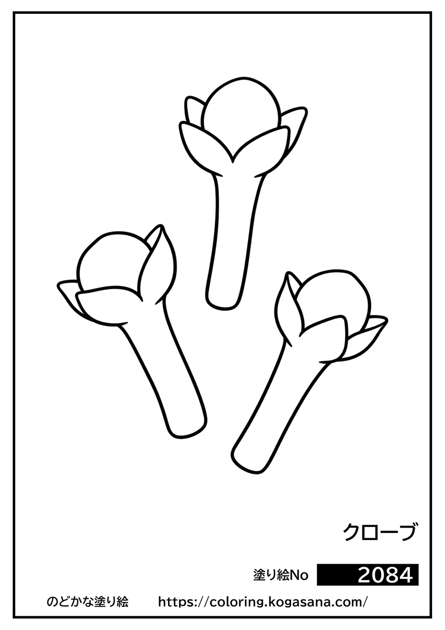 クローブの塗り絵