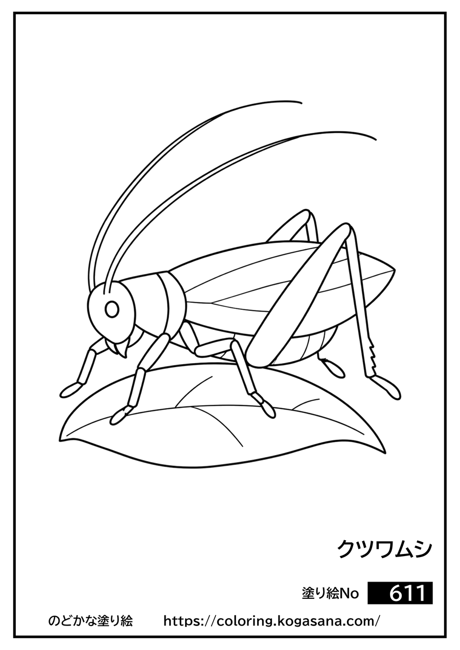 クツワムシの塗り絵