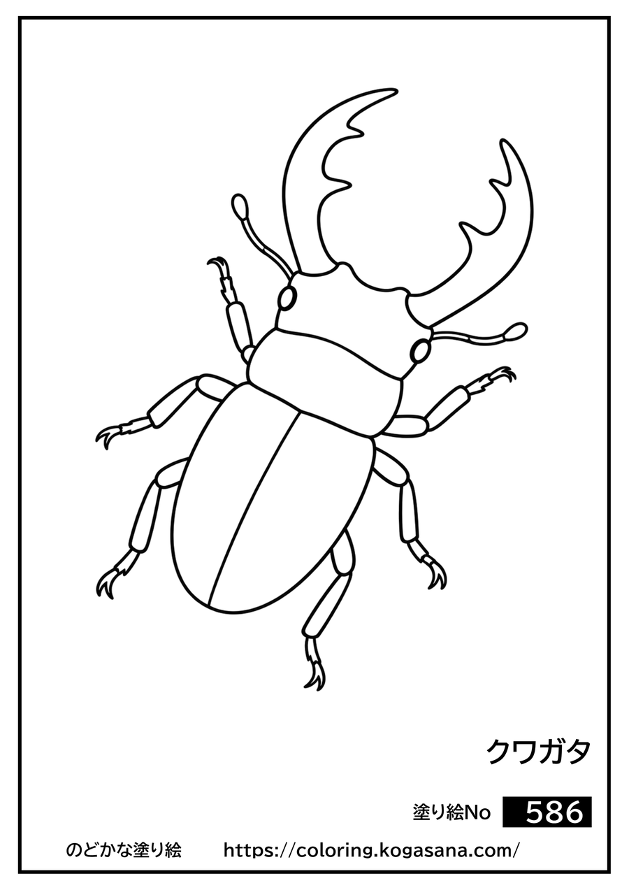 クワガタの塗り絵