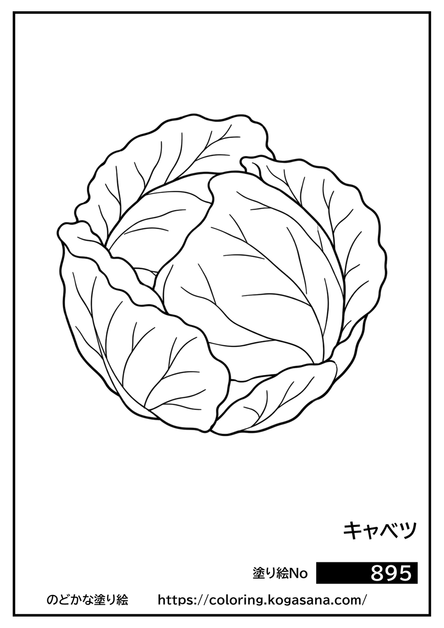 キャベツの塗り絵