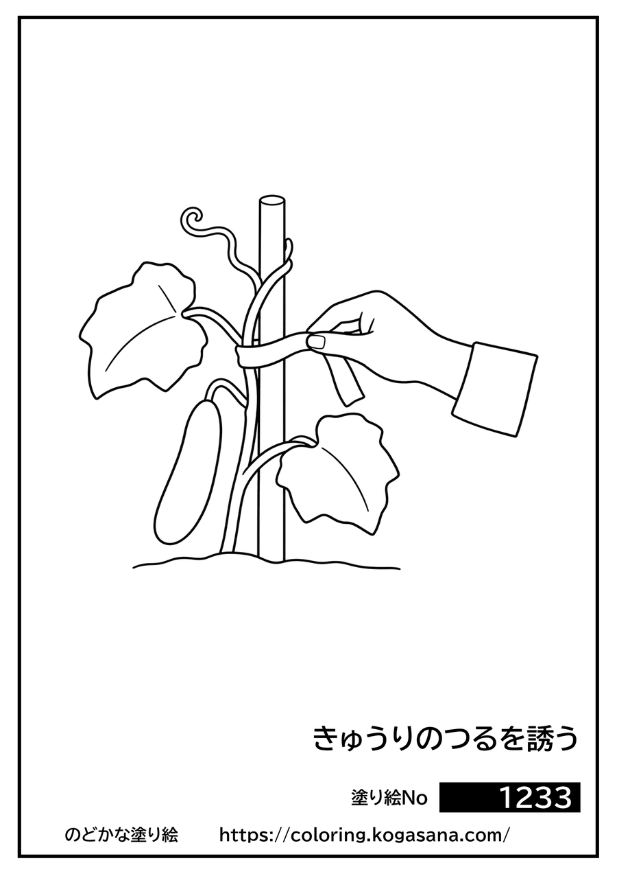 きゅうりのつるを誘うの塗り絵