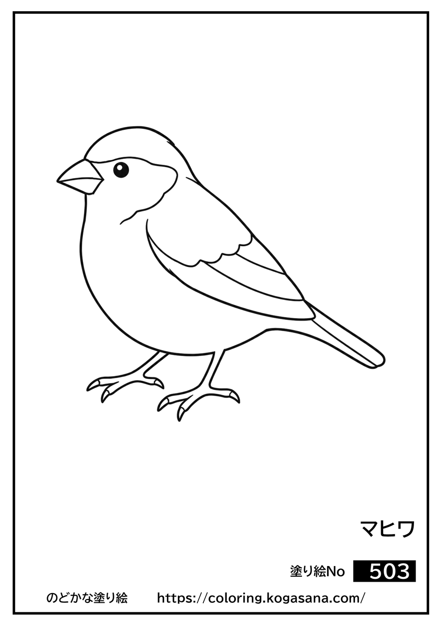 マヒワの塗り絵
