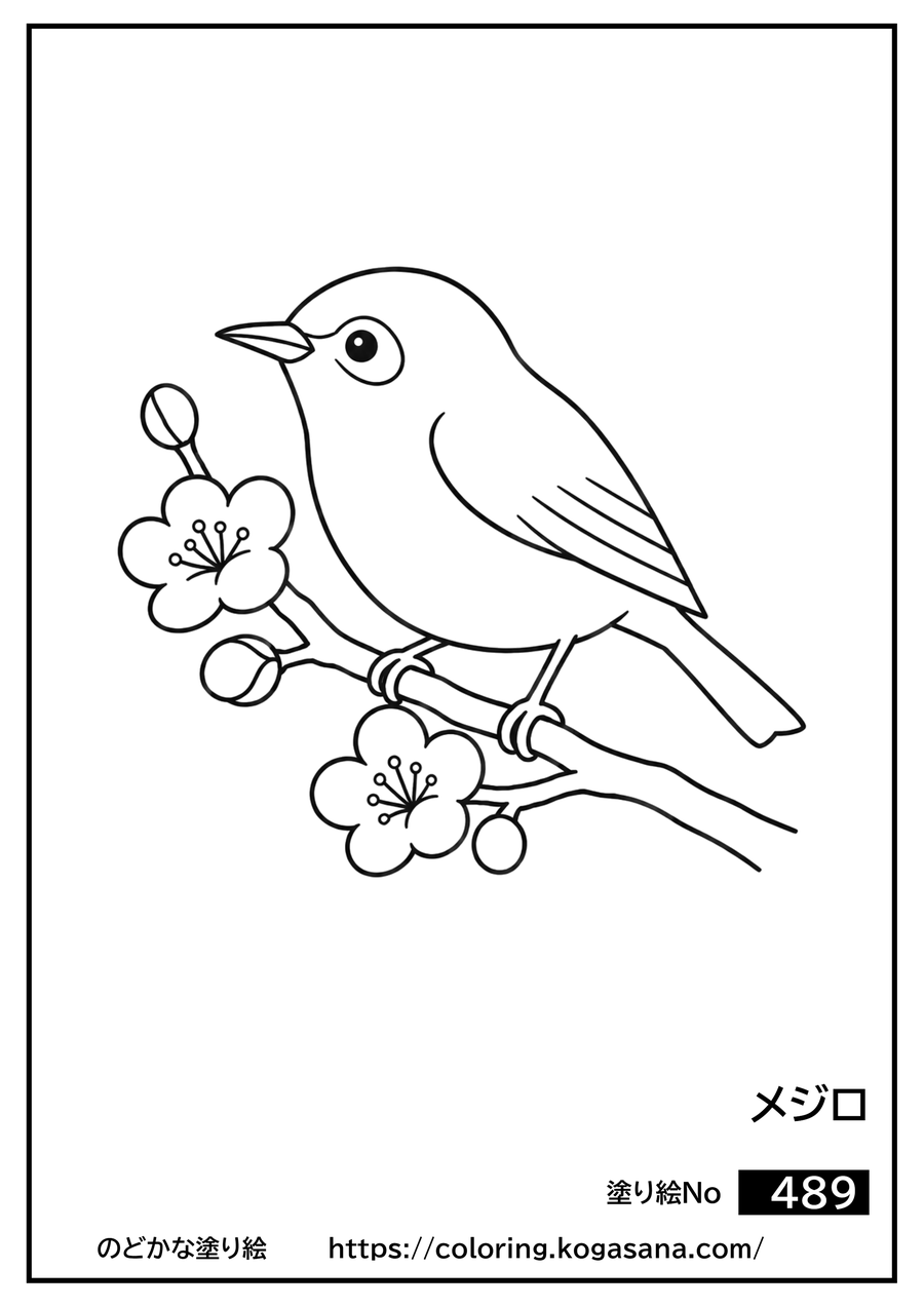 メジロの塗り絵