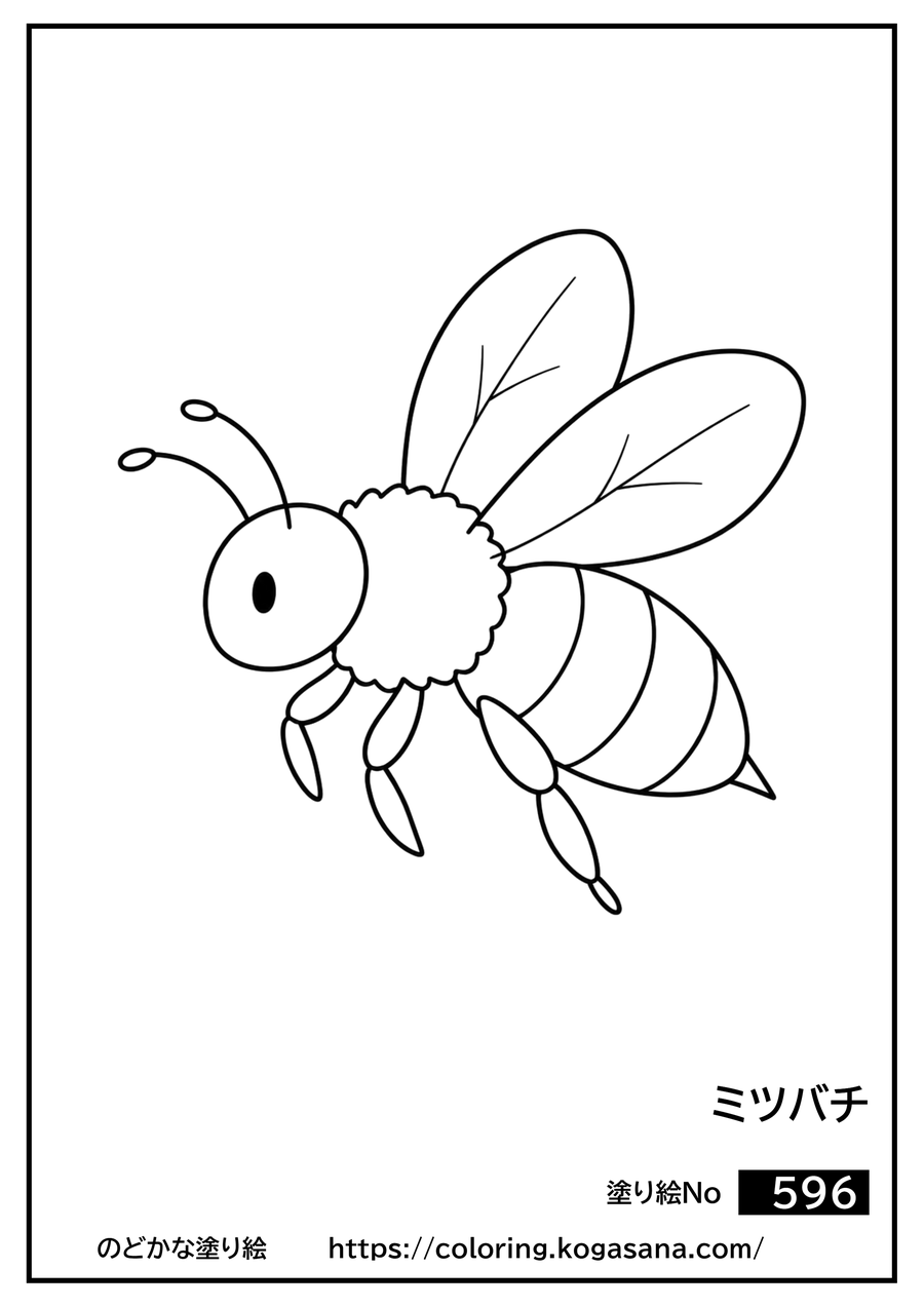 ミツバチの塗り絵