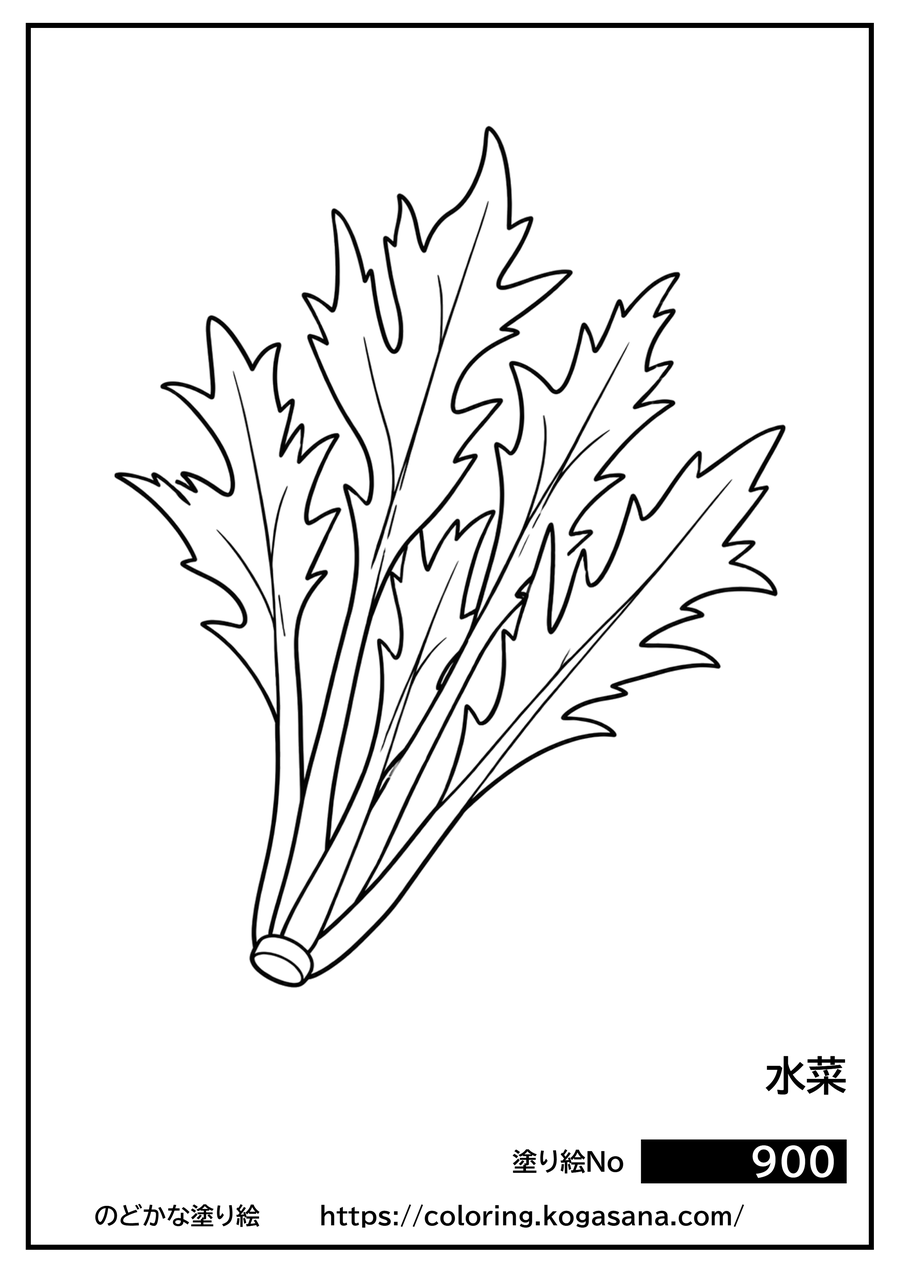 水菜の塗り絵