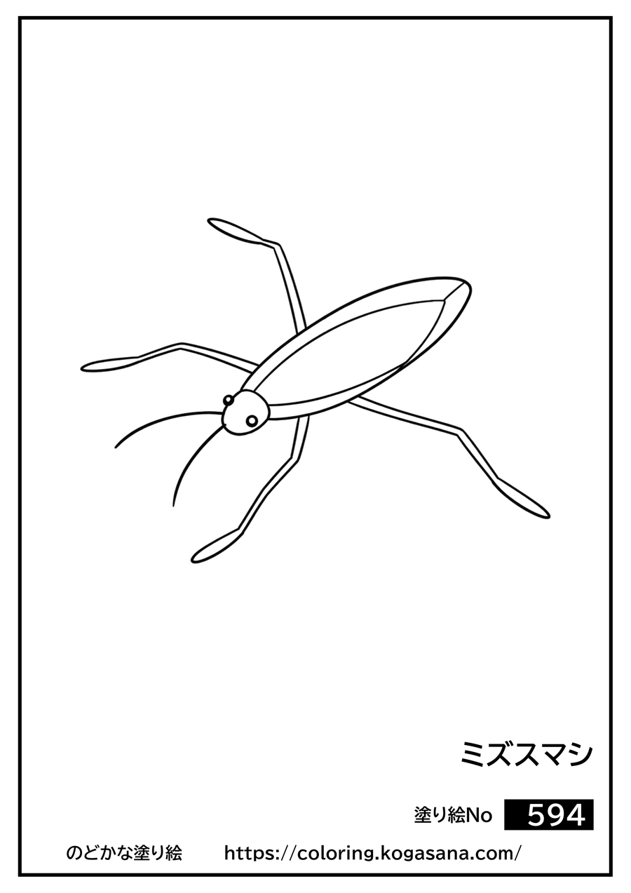 ミズスマシの塗り絵