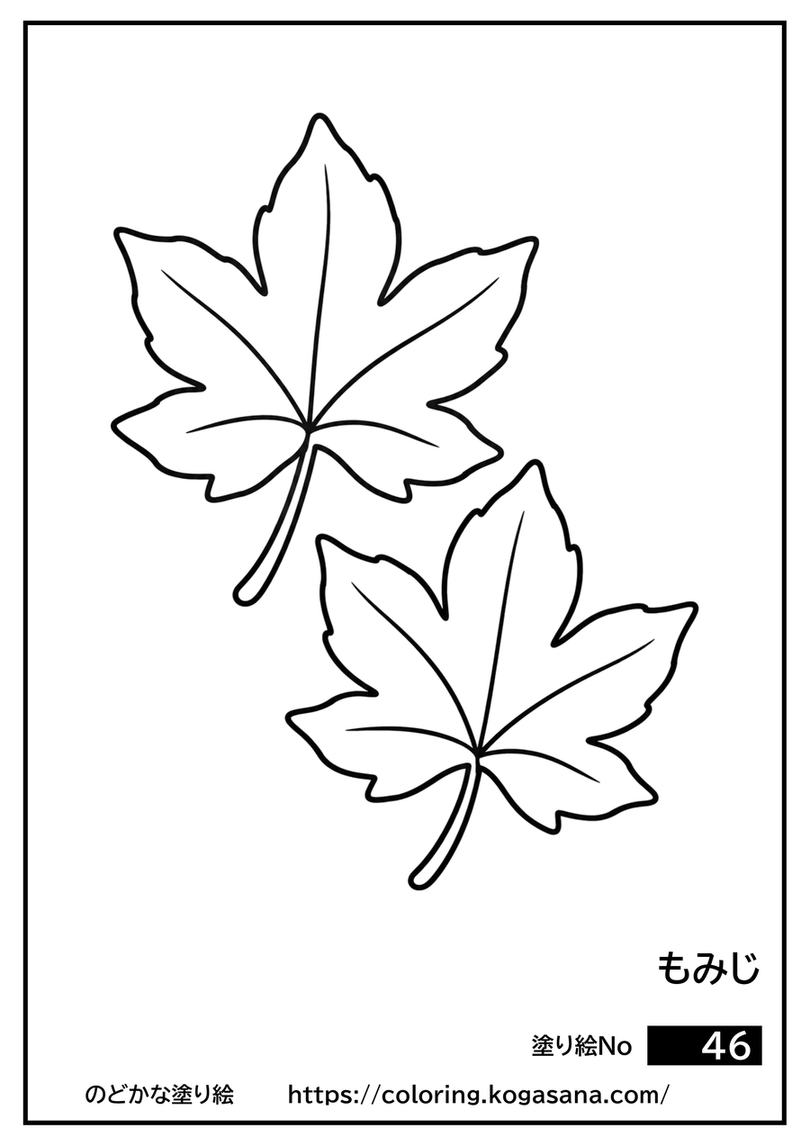 もみじの塗り絵
