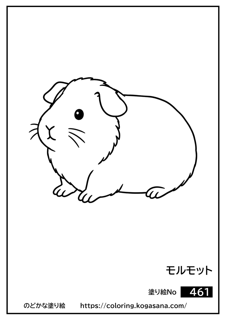 モルモットの塗り絵