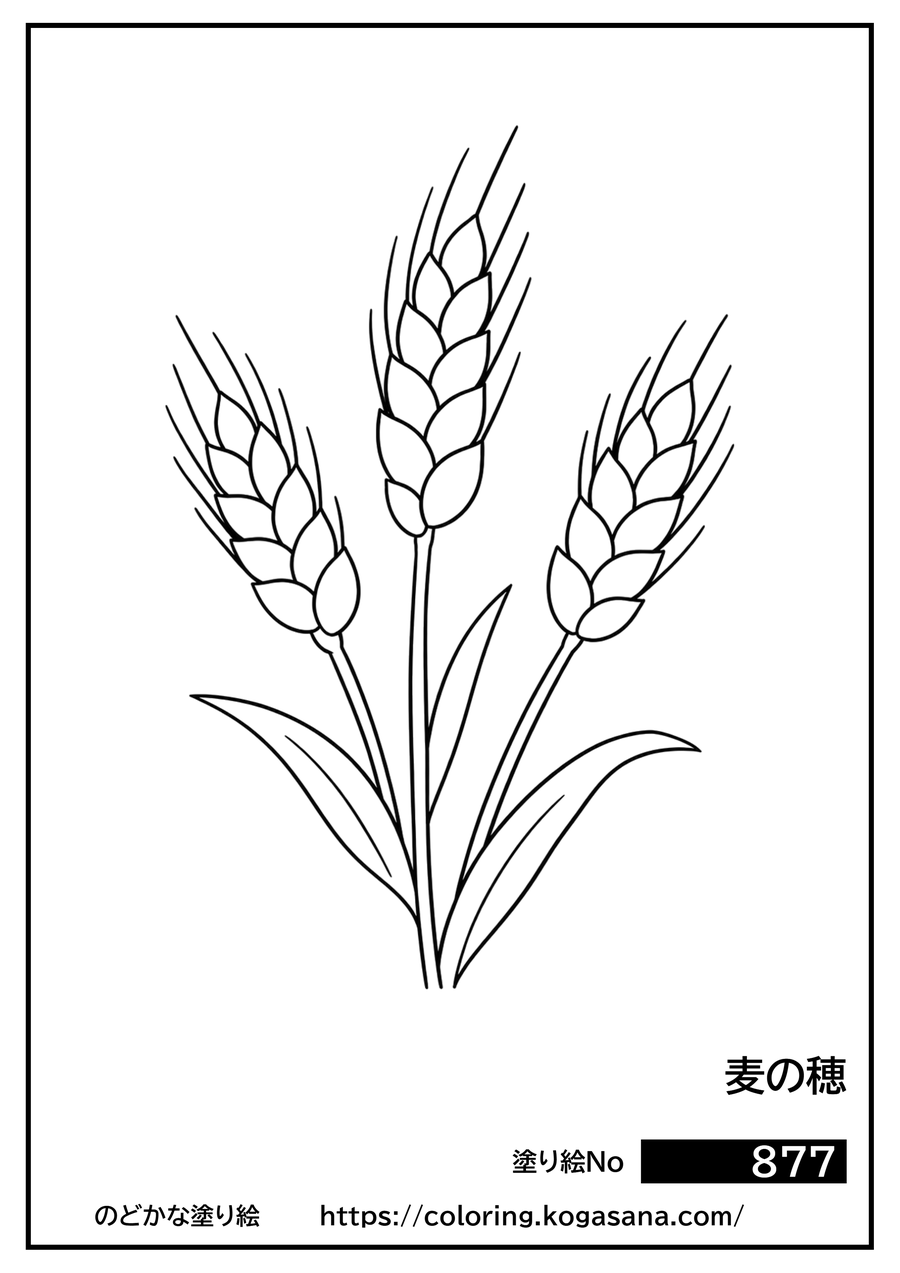 麦の穂の塗り絵