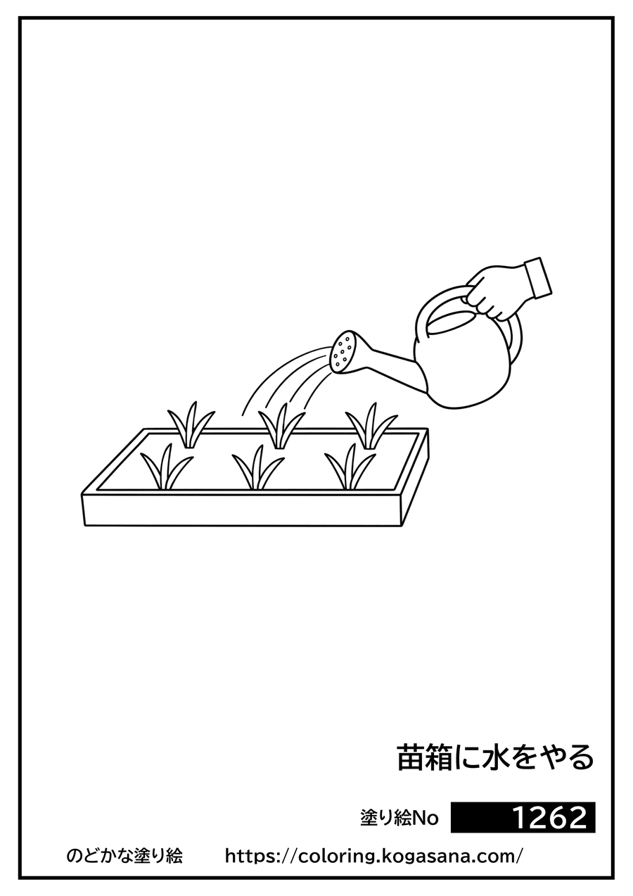 苗箱に水をやるの塗り絵