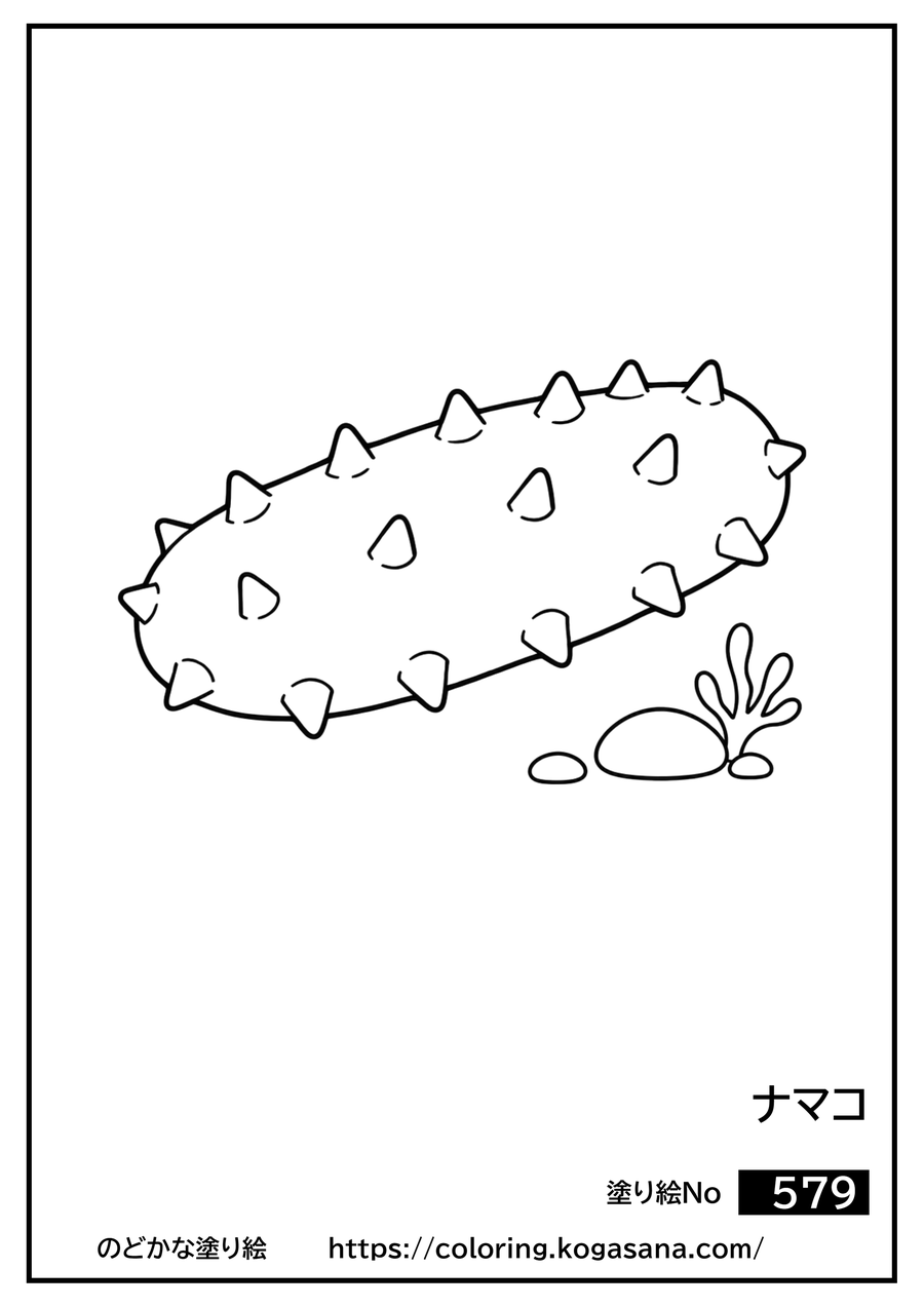 ナマコの塗り絵