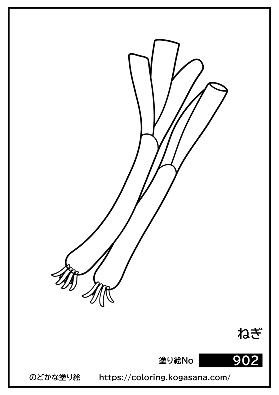 ねぎの塗り絵