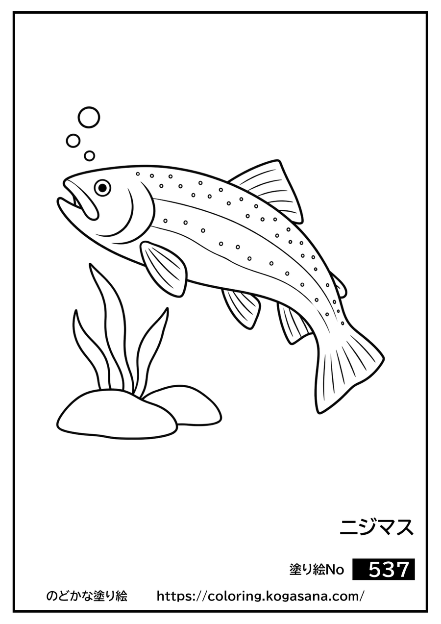 ニジマスの塗り絵