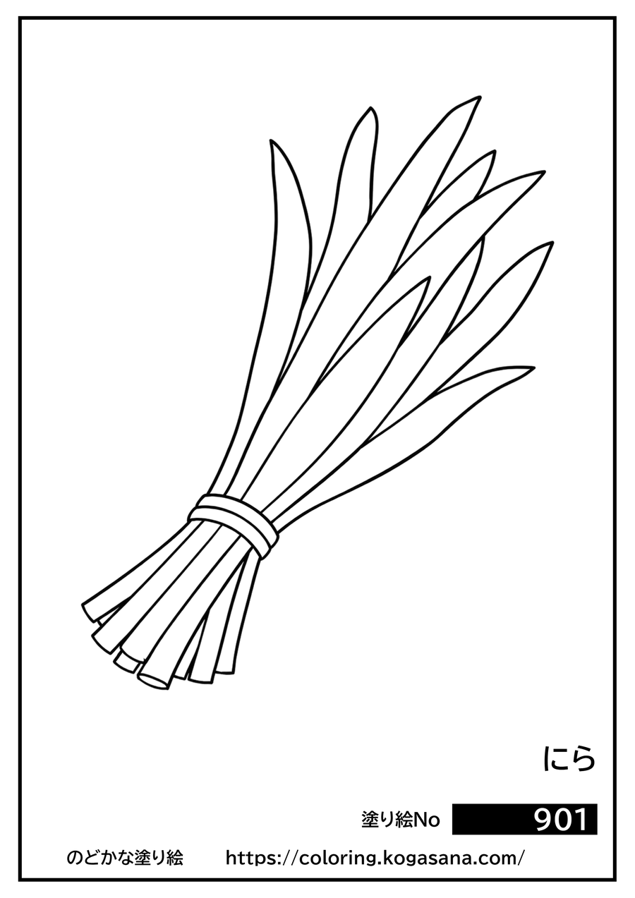 にらの塗り絵