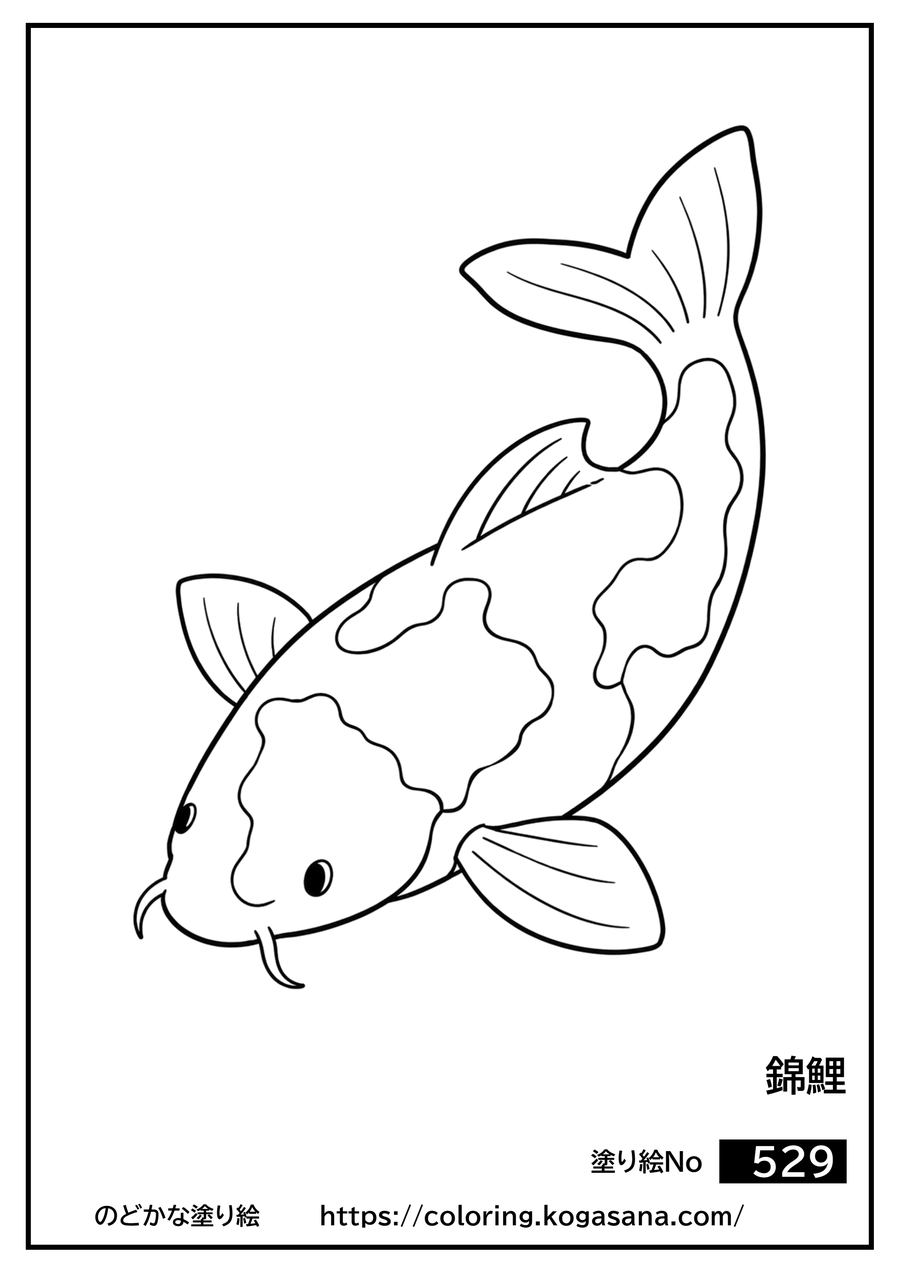 錦鯉の塗り絵