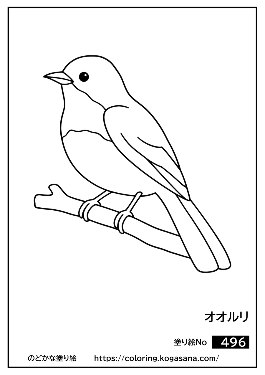 オオルリの塗り絵