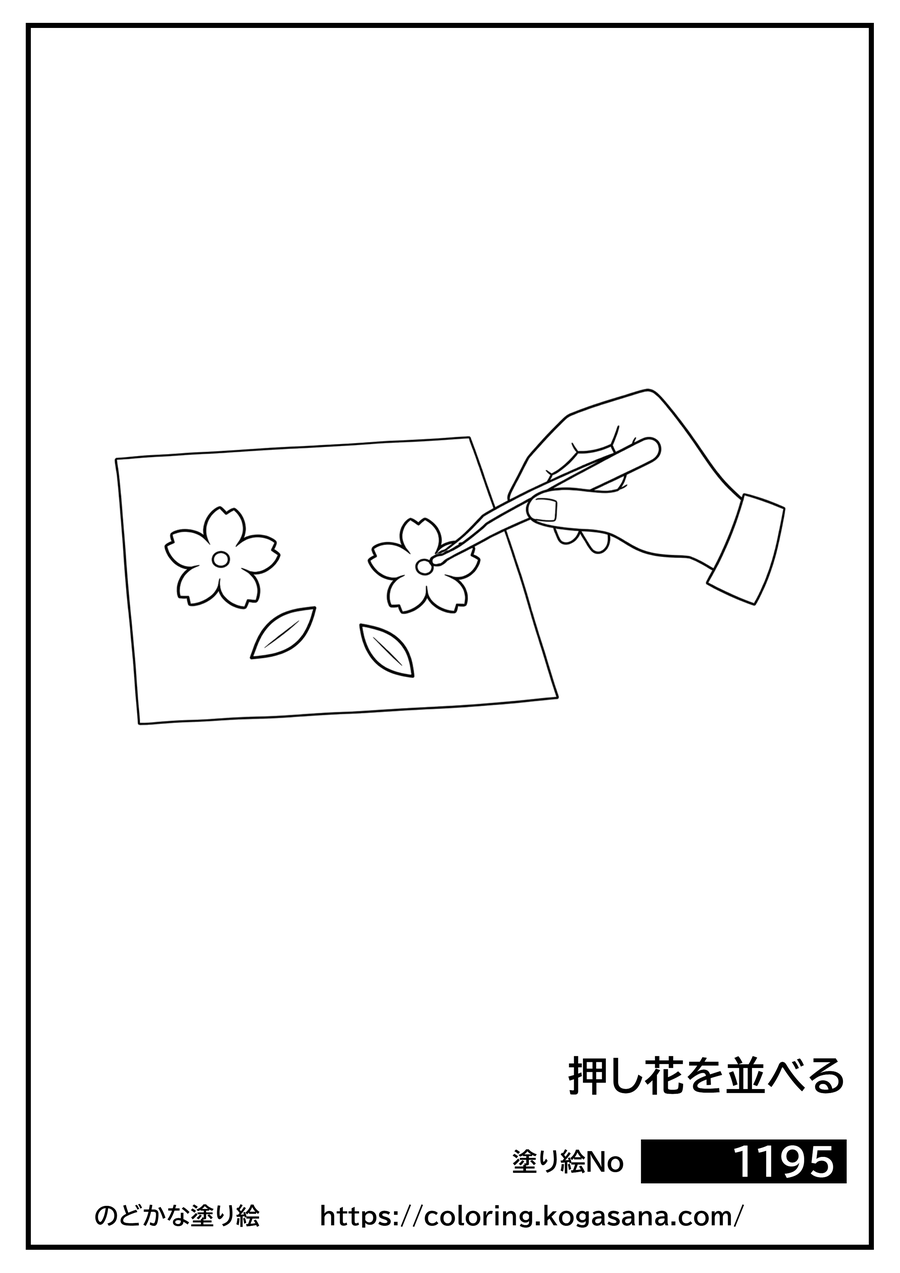 押し花を並べるの塗り絵