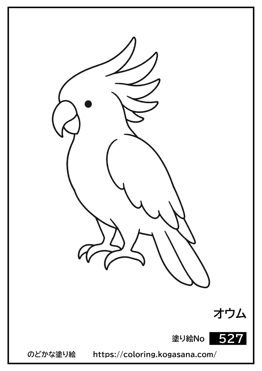 オウムの塗り絵