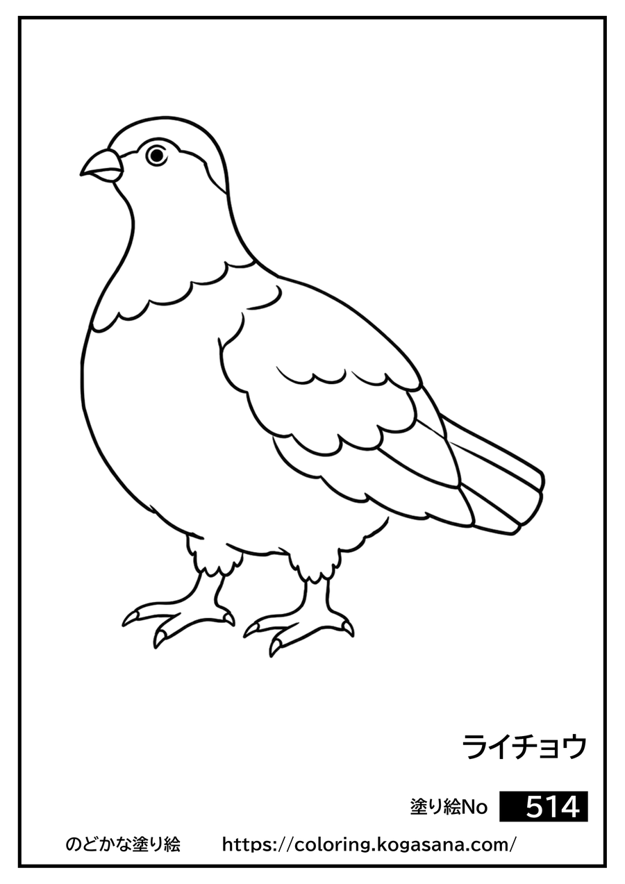 ライチョウの塗り絵
