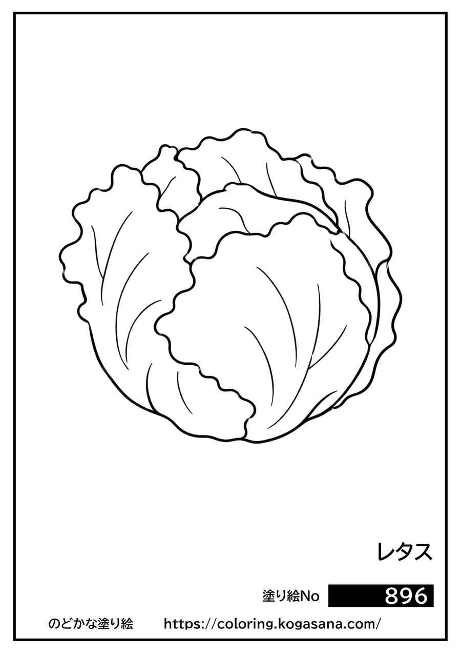 レタスの塗り絵