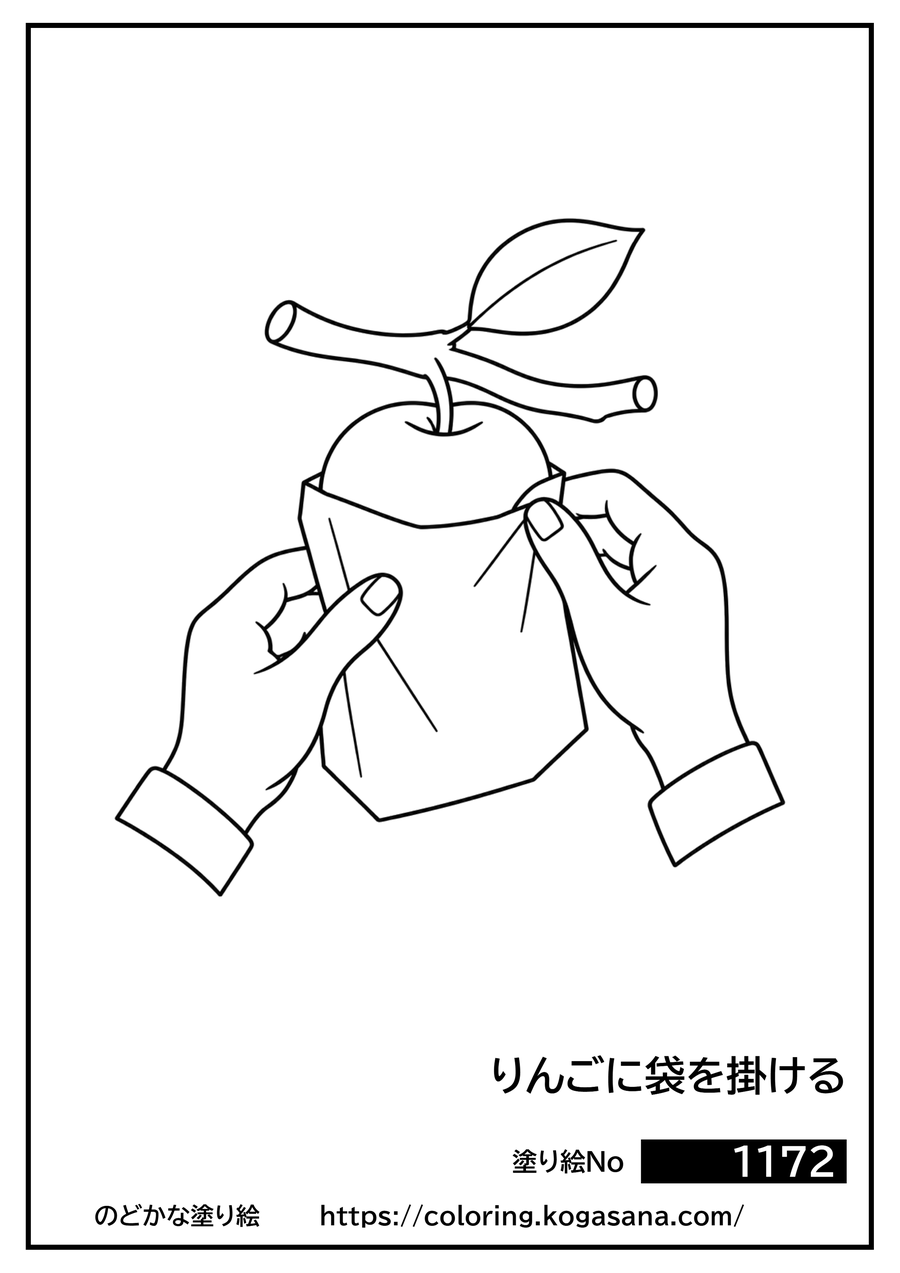 りんごに袋を掛けるの塗り絵