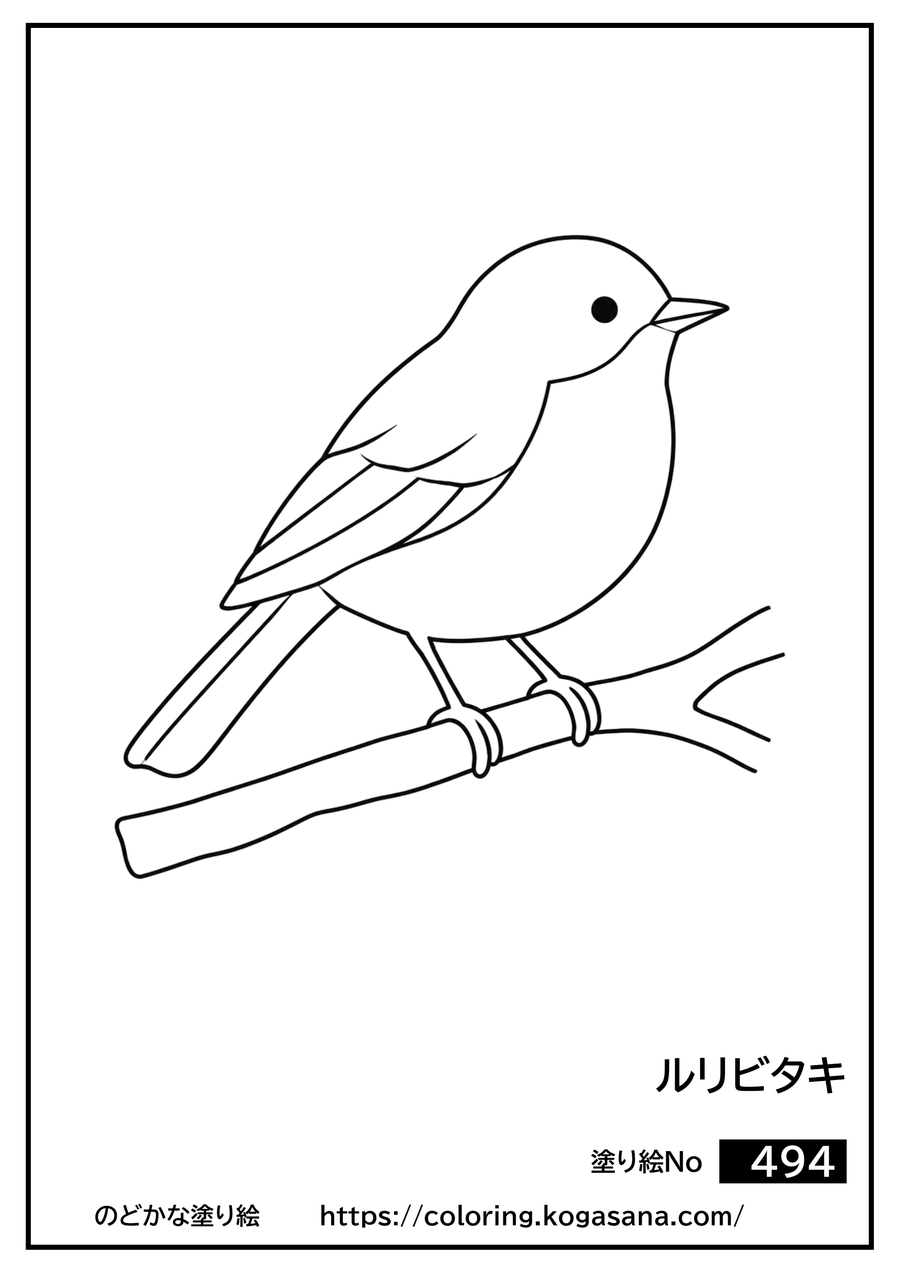 ルリビタキの塗り絵