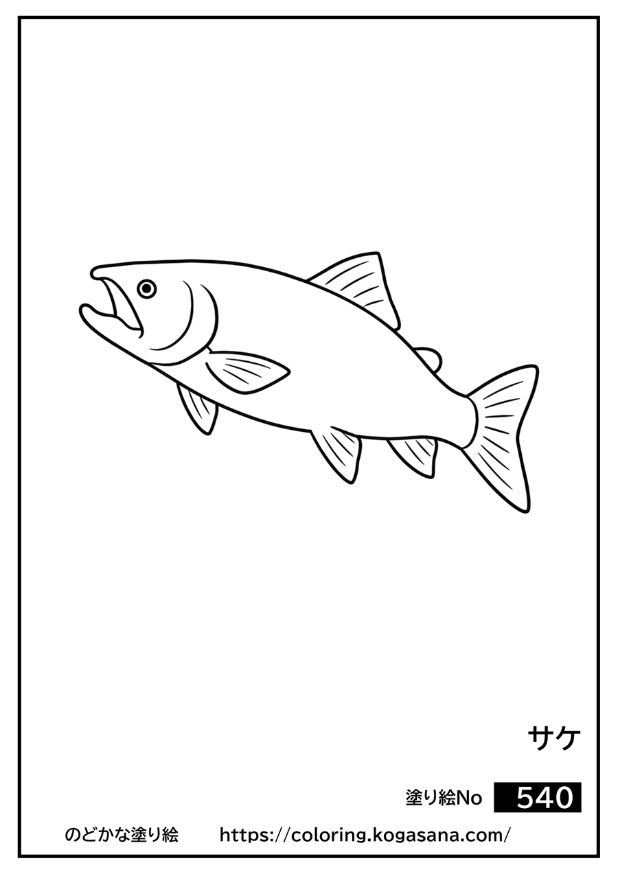 サケの塗り絵