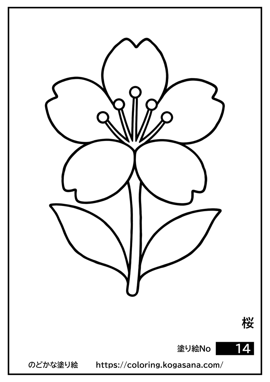 桜の塗り絵