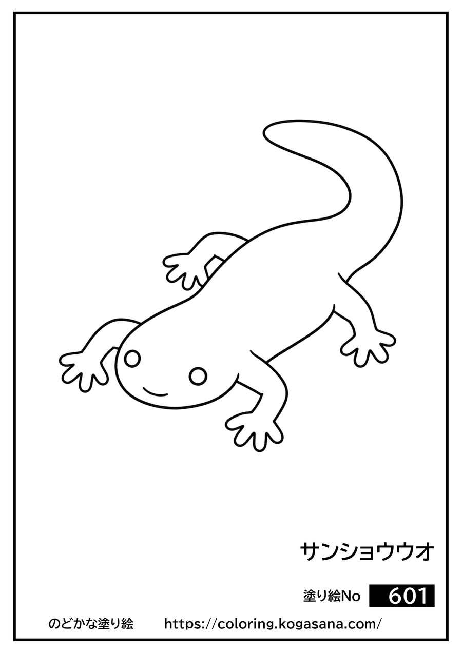 サンショウウオの塗り絵
