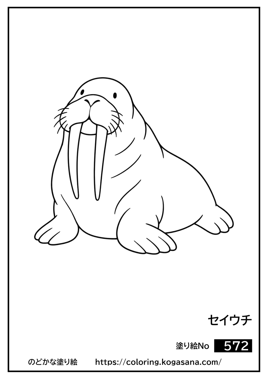 セイウチの塗り絵