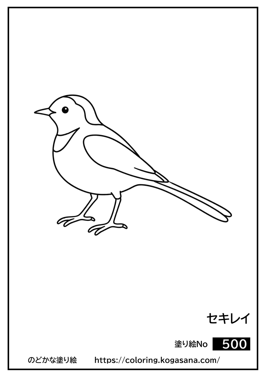 セキレイの塗り絵