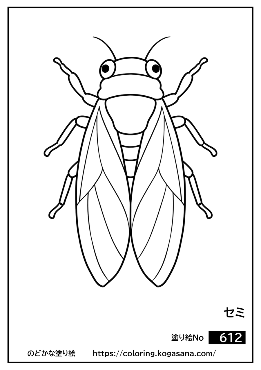 セミの塗り絵