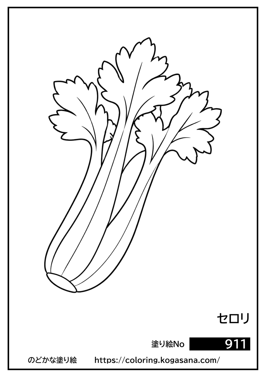 セロリの塗り絵