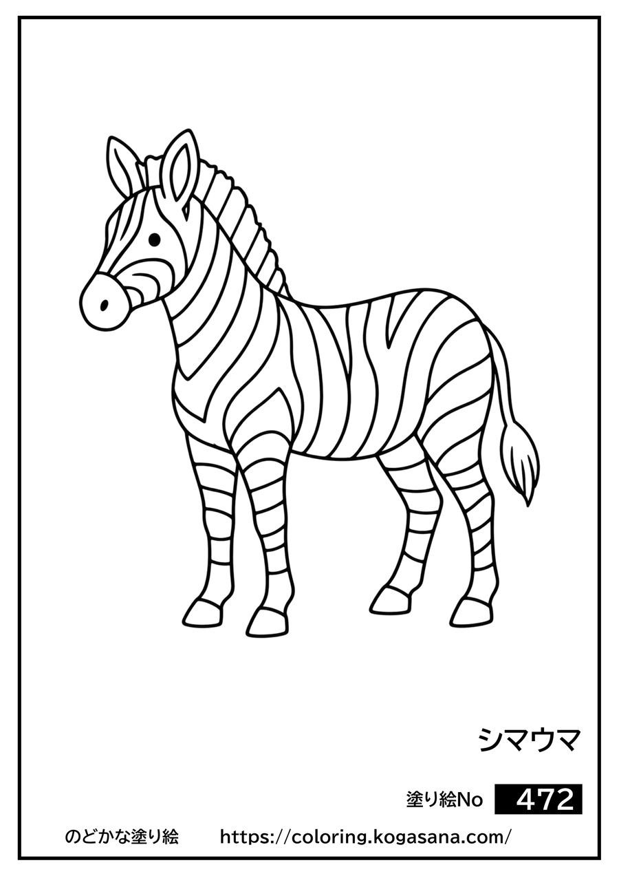 シマウマの塗り絵