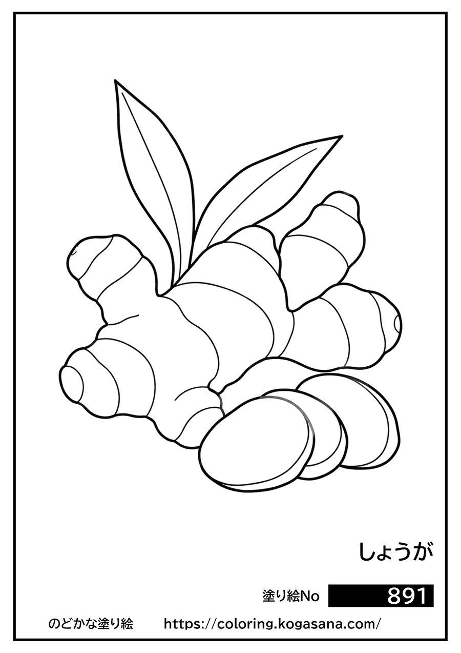 しょうがの塗り絵