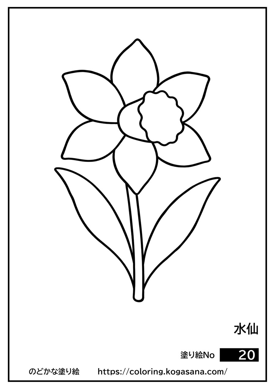 水仙の塗り絵