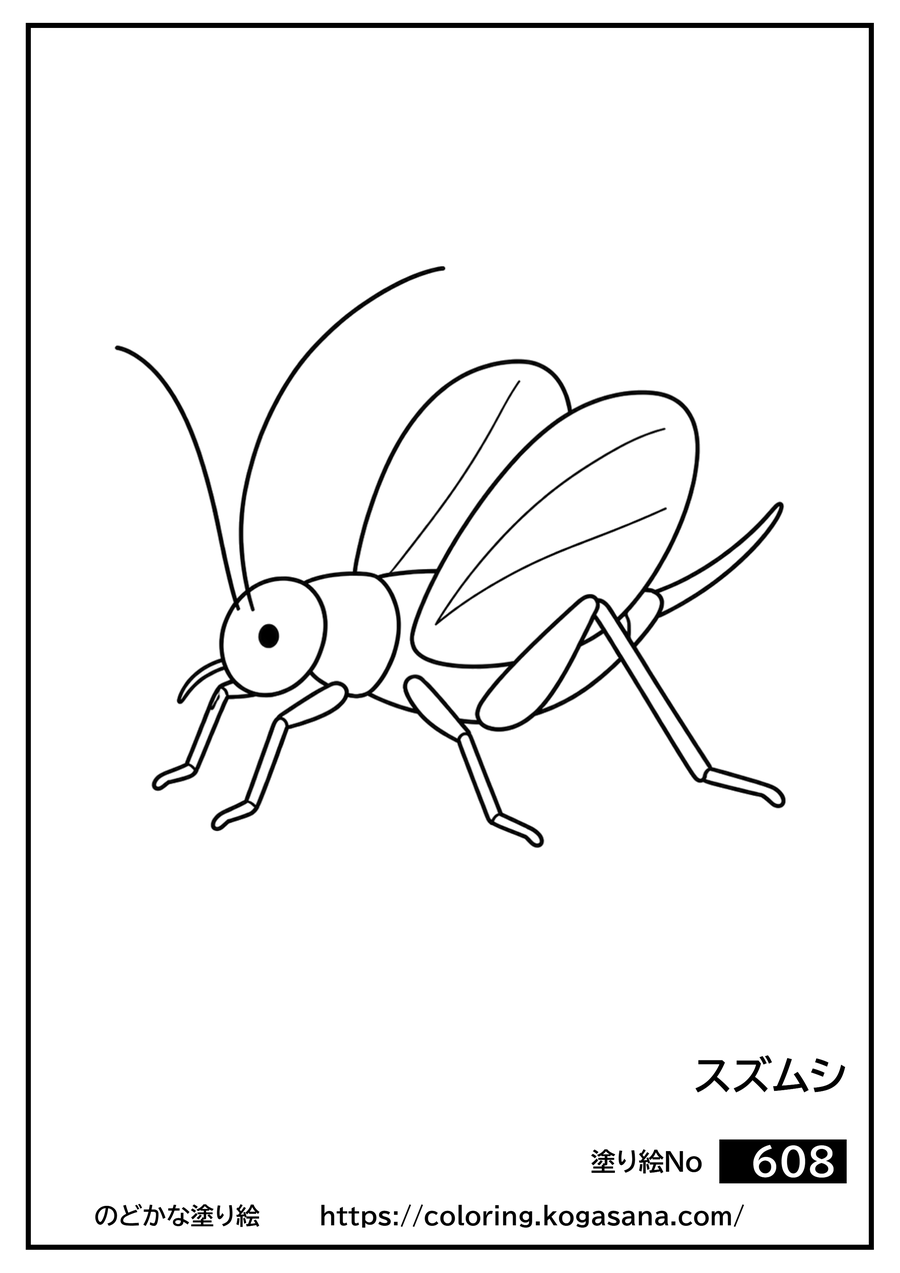 スズムシの塗り絵