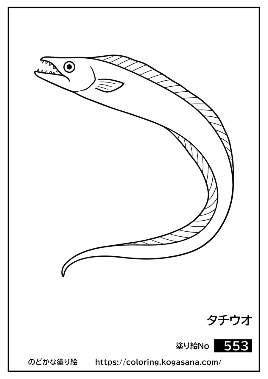 タチウオの塗り絵