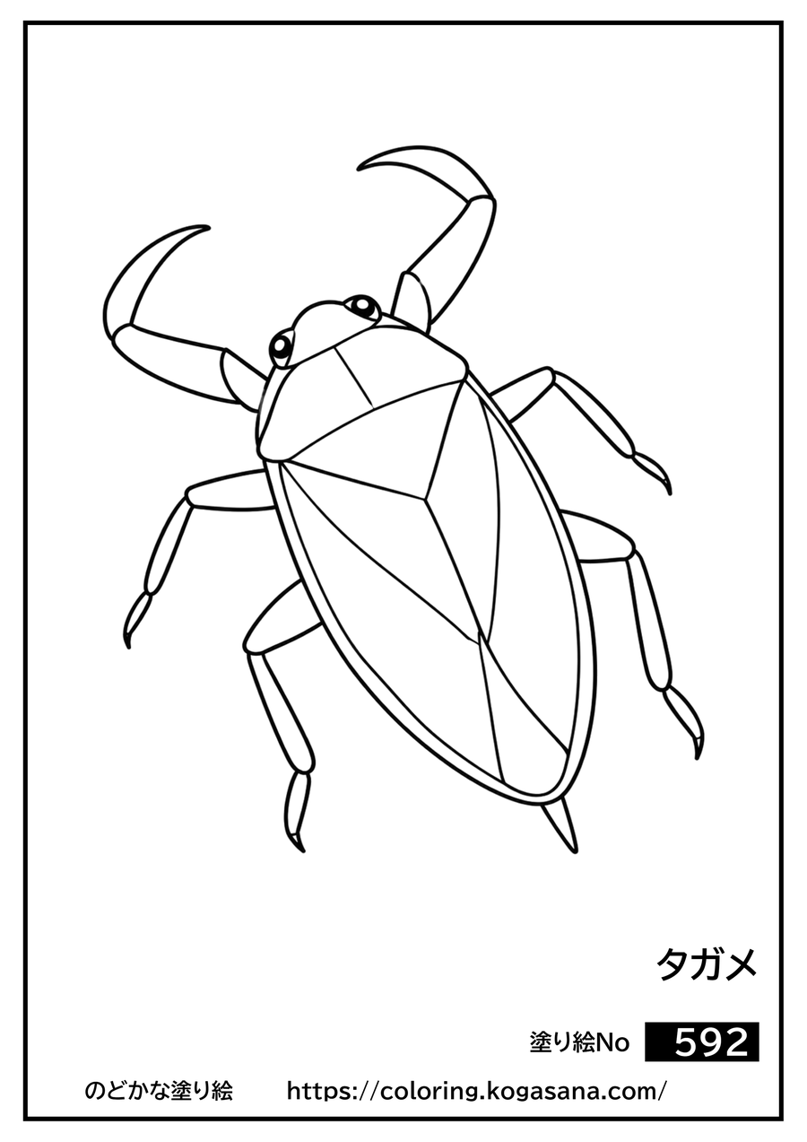 タガメの塗り絵