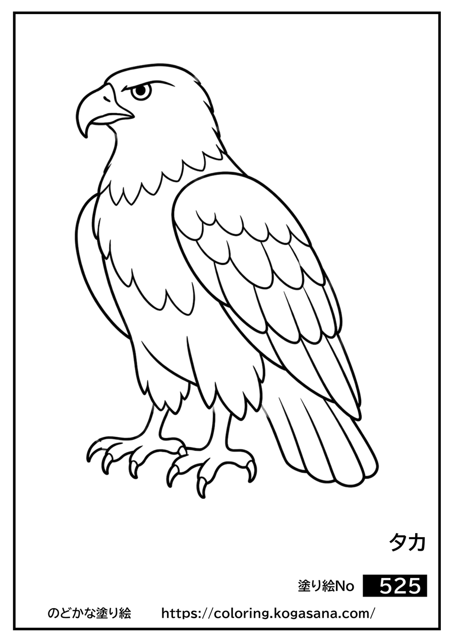 タカの塗り絵