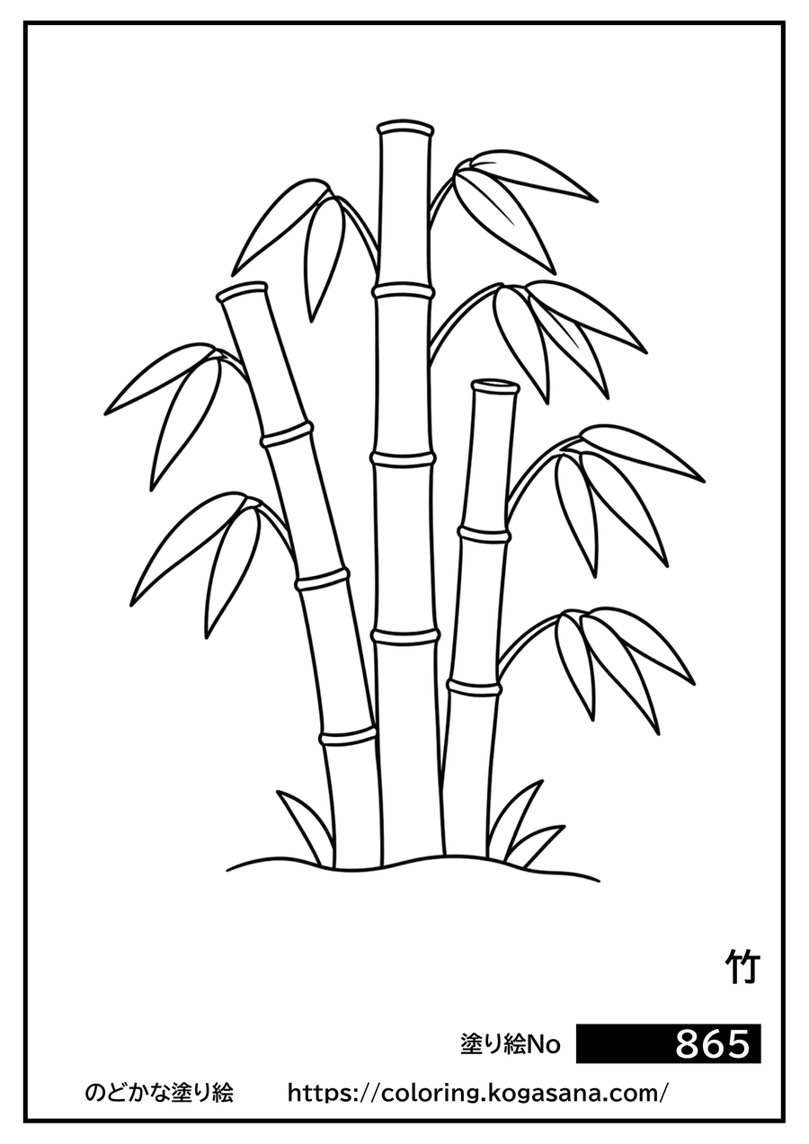 竹の塗り絵