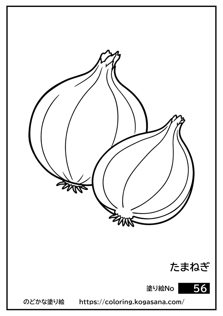 たまねぎの塗り絵